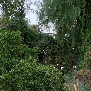 Meet your Posher, Jairo